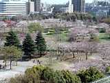 2-20@]@Վʐ^@NbNŁ@800X600hbg@150KB