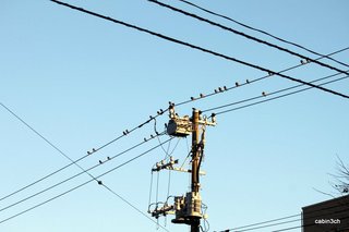 EE