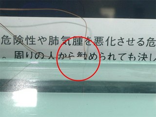 5050